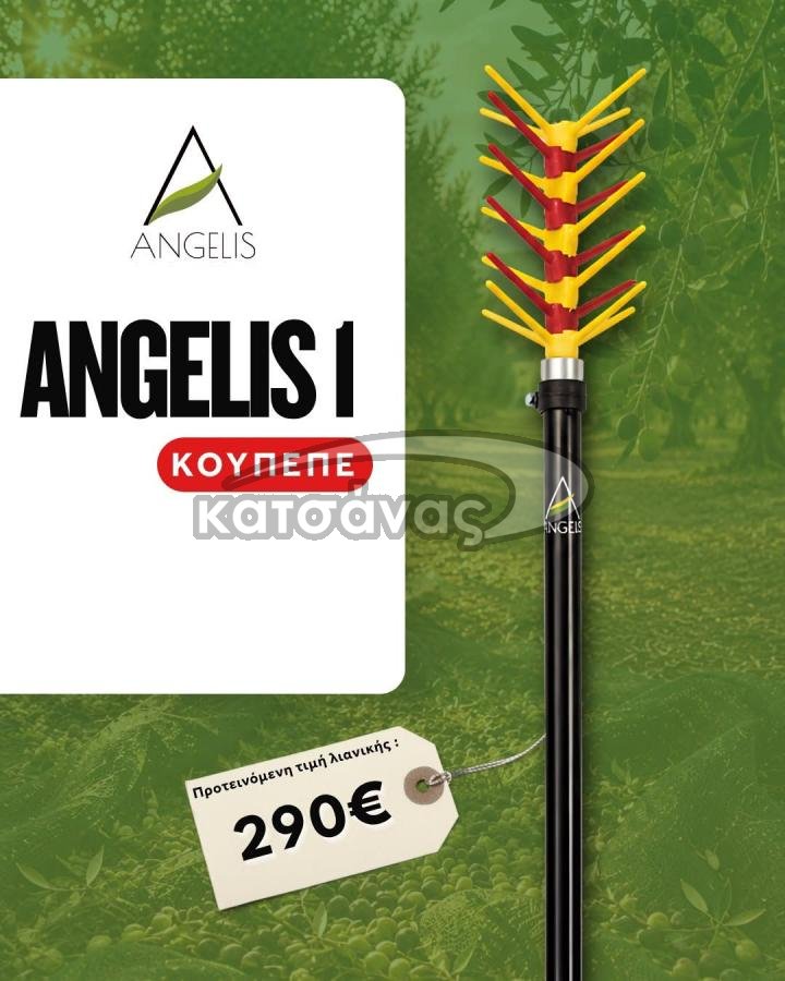 ΕΛΑΙΟΡΑΒΔΙΣΤΙΚΟ AGGΕLIS 1(ΚΟΥΠΕΠΕ)