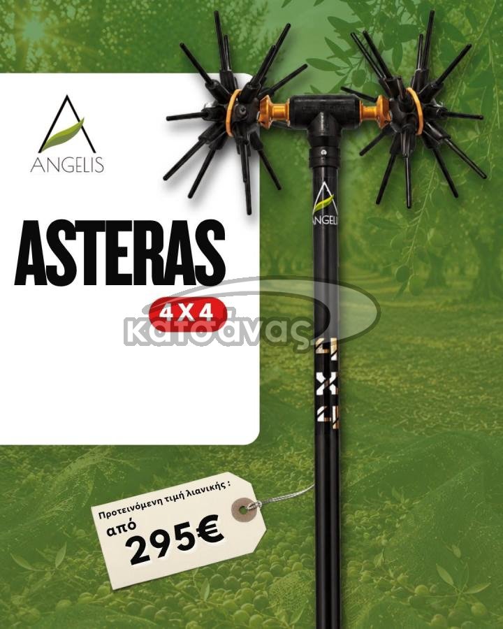 ΕΛΑΙΟΡΑΒΔΙΣΤΙΚΟ ASTERAS 4X4