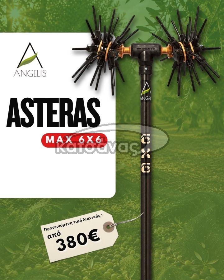 ΕΛΑΙΟΡΑΒΔΙΣΤΙΚΟ ASTERAS ALL CARBON 6X6